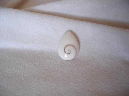 oeil de shiva