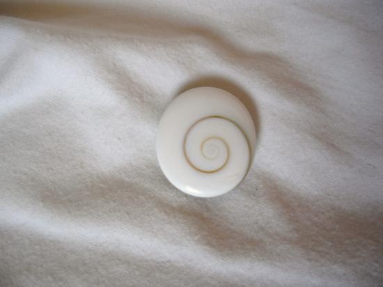 oeil de shiva poli