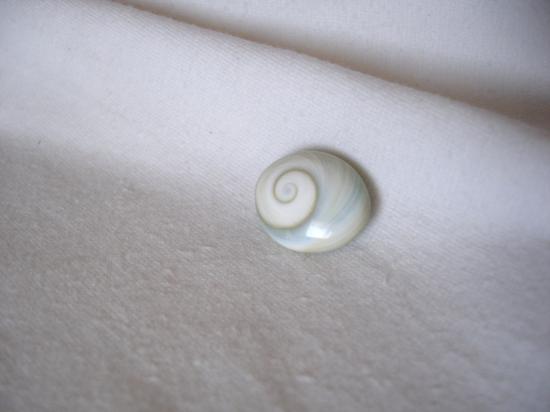 oeil de shiva