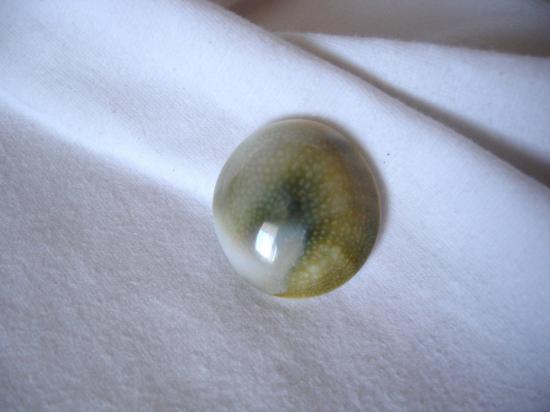 oeil de shiva
