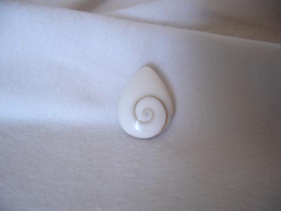 oeil de shiva
